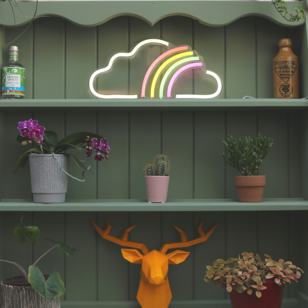 Cloud with Rainbow Neon LED Sign on Bookshelf