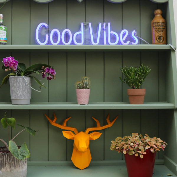 Good Vibes Blue Neon LED Sign on Bookshelf