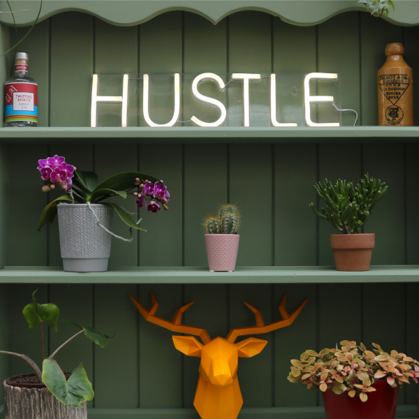 Hustle Neon LED Sign on Bookshelf