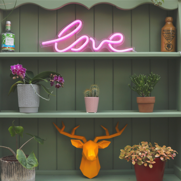 Love Pink Neon LED Sign on Bookshelf