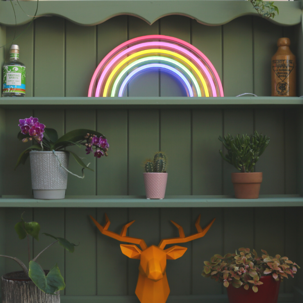 Rainbow Neon LED Sign on Bookshelf