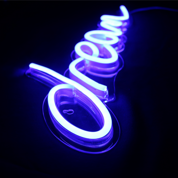 Dream Neon Blue LED Sign on Bookshelf