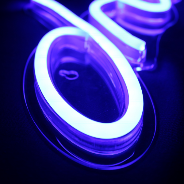 Dream Neon Blue LED Sign on Bookshelf